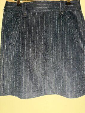 LOFT Navy Blue Wool Blend Pinstripe A-Line Mini Skirt | Size 10